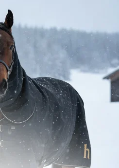 Category_rugs_desktop_kw01